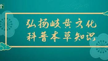 春天一物养气血，润春燥，为人参、鹿茸、燕窝所不及