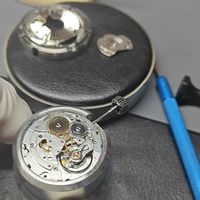 vs海马300夹板机v3，摔的爆装备了。时轮离表盘过远就容易调时卡住，解决方法视频里有