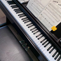 2026年电钢琴选购终极指南！从入门到专业，一篇帮你闭眼入！