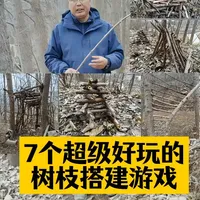 7个超好玩的树枝搭建游戏，让自然不再枯燥