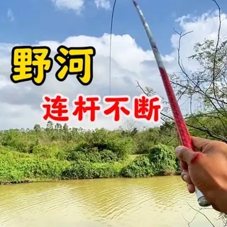 水深只有一米也能连杆不断 #钓鱼 #原来钓鱼才是抖音运动顶流 #化氏鲜藻元素 #创威凌天三代