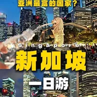 没有买房压力,城市绿化高得恐怖,亚洲最富的国家新加坡到底是什么样?#新加坡 #旅行 #旅行vlog #旅游攻略 #青年创作者成长计划