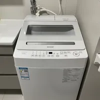 终于买到不用拆洗的洗衣机！夏普无孔波轮