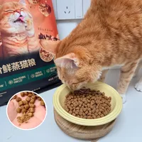 半夜醒来，我家猫又吐了。。。。。。