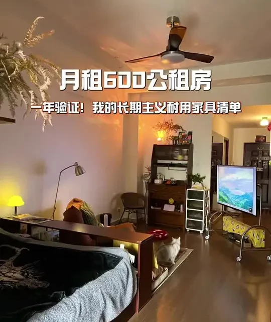月租600公租房住一年，我的长期主义实用软装分享！#生活与我 #公租房改造 #公租房布置 #租房好物推荐 #家居改造