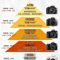 低预算摄影入门，那些依旧能打的佳能老单反