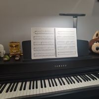 初学者电钢琴选购指南｜闭眼入不踩坑，品牌+型号+预算全攻略