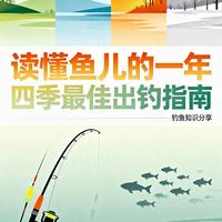 读懂鱼儿的一年！四季出钓黄金指南，新手看完直接爆护