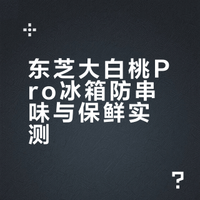 东芝大白桃Pro不串味很靠谱