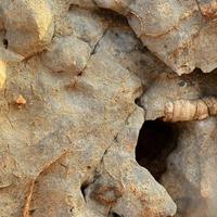 汉中南郑梁山化石亲子体验指南，带娃探秘“汉中八景”石燕