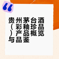 贵州茅台酒（彩釉珍品）产品概览与品鉴