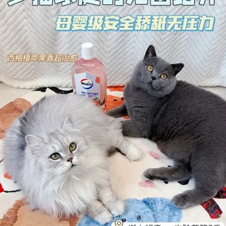 告别除菌焦虑！1瓶焊稳四口猫之家的心