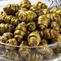 铁皮石斛哪个牌子好又正宗？霍山原产地直供顶级品牌，新手不踩坑