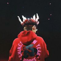 汪苏泷同款🔥Aveineil 马年限定卫衣｜红运 + 高级感双在线