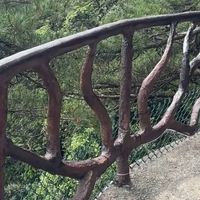 2026、尽情去运动