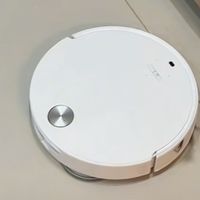 家是光脚游乐场!石头P20 Max体验