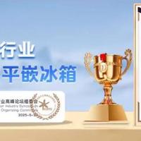 大容量冰箱推荐：满足现代家庭囤货需求的高效存储选择