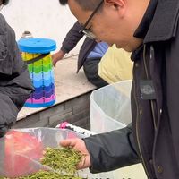靓货来了，永嘉原料的乌牛早，太漂亮啦