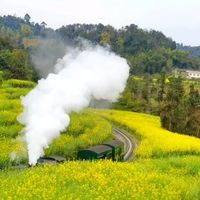 嘉阳小火车2026年运营详情:全球唯一常态客运窄轨蒸汽火车,花季及秋冬季为最佳体验期