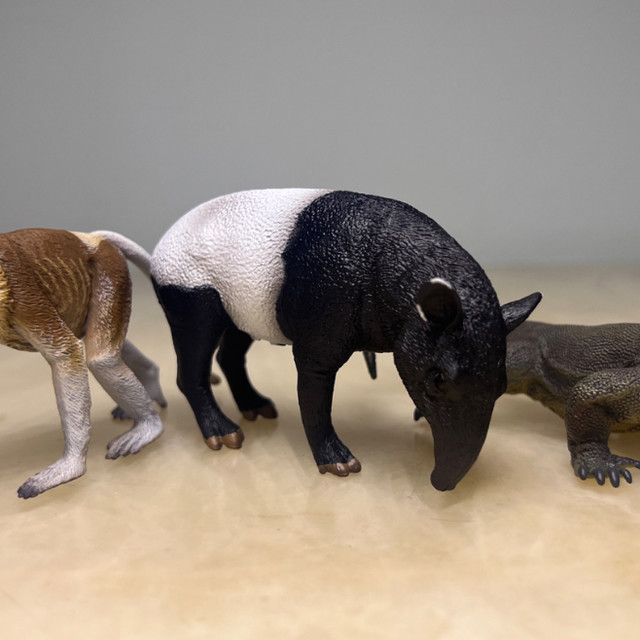 动物模型-英国CollectA系列(8)-88881马来貘、80014长鼻猴、88900科莫多巨蜥