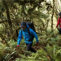 轻户外冲锋衣怎么选？防水透湿与通勤适配性才是关键