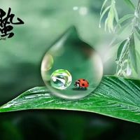 惊蛰后，少吃韭菜黄瓜，多吃3种“黄金菜”，健脾祛湿养肝气，增强抵抗力，健康过春天