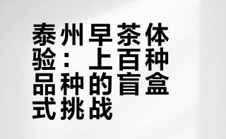 开盲盒式体验泰州早茶，早餐竟然有几十种包子！泰州 瓦萨北北WB的微博视频