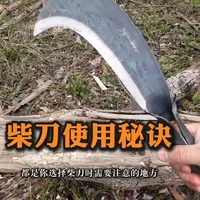 野外生存，柴刀使用秘诀 #野外生存#户外技能#生存刀#回归线生存学院#柴刀