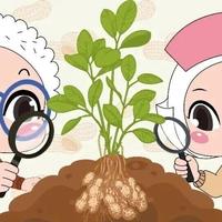 别只看月龄！引入花生辅食，这4个安全变量决定宝宝能否吃、怎么吃