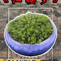 贾府的奢靡生活，这一小碗米，顶普通人家一年收入 #美食 #红楼梦 #抖音精选 #抖音美食创作人