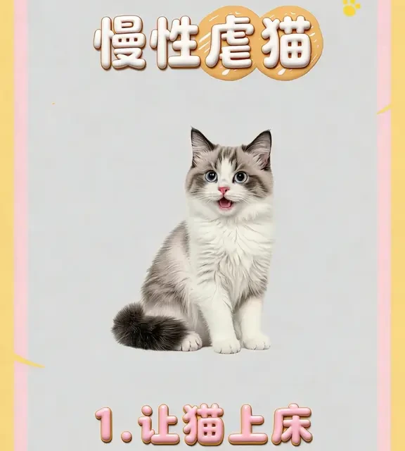 ❌ 8种伤猫行为，你中了几个？