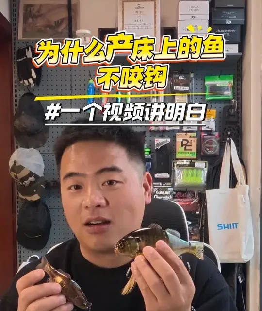 为什么饵丢过去没反应了，你知道了吗？ 没想到中鱼时刻录掉了，亲测有效！#鲈鱼产前模式 #鲈钓 #泳饵 #路亚