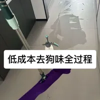 低成本房间去狗味！（亲测成功，自留版）
