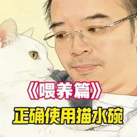 喵哥教你正确设计猫咪的水碗！#猫咪喂养 #猫咪喝水 #养猫经验分享#科学养猫#喵哥