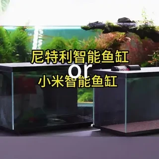 尼特利智能鱼缸开箱测评 与小米智能鱼缸对比到底怎么样?#智能鱼缸 #小米 #尼特利