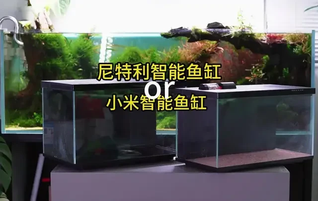 尼特利智能鱼缸开箱测评 与小米智能鱼缸对比到底怎么样？#智能鱼缸 #小米 #尼特利