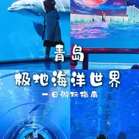 把大海的蓝存进童年里——青岛极地海洋世界#吃喝玩乐分享计划 #青岛 #极地海洋公园 #海洋馆 #人生旅记