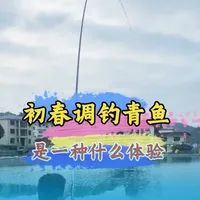 在初春这个季节，钓一场青鱼是一种什么体验。#原来钓鱼才是抖音运动顶流 #真实生活分享计划 #黑坑青鱼 #青鱼大师拖钓之王二代 #令狐师兄钓鱼