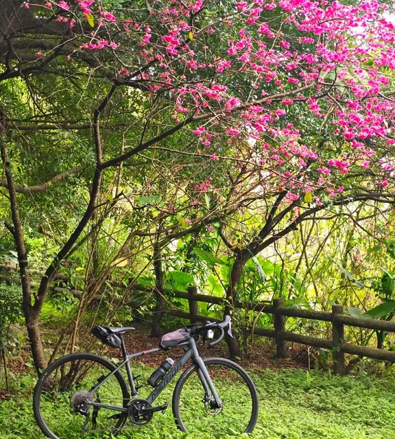 骑进春天里！斯特拉EN GR半年小结