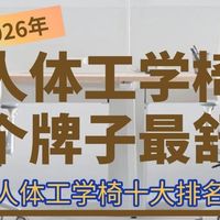 人体工学椅哪个牌子最舒服？2026年人体工学椅十大排名