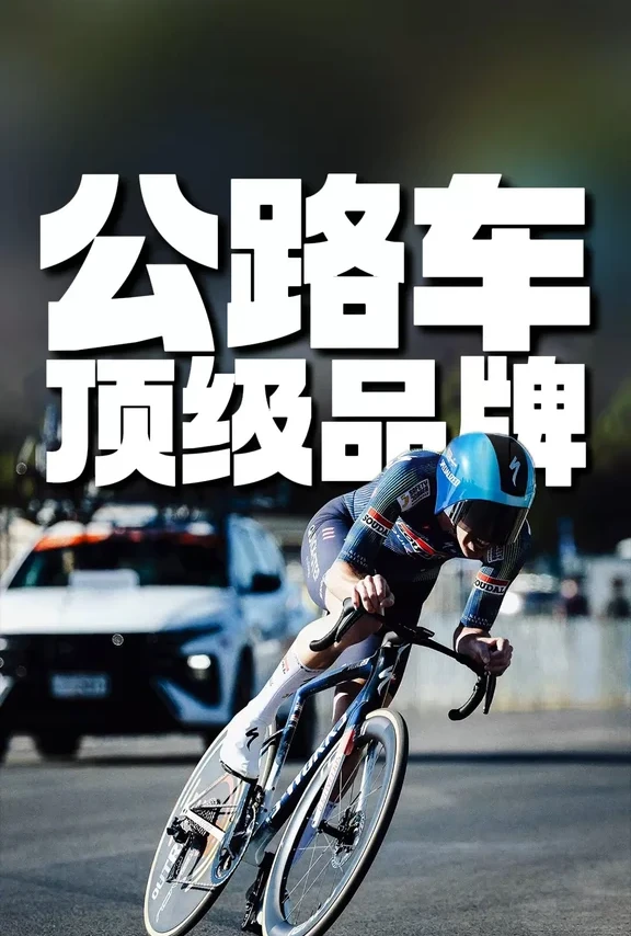 公路自行车顶级品牌🚴