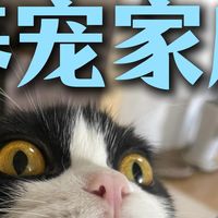 今天说说小猫小狗最常用的一种药