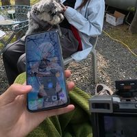 又有索尼功能的重大新发现。赶紧跟小伙伴们来分享一下。索尼相机后台静默无线无损传输原图到手机
