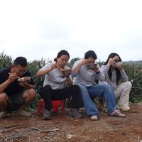 燕子摘新鲜的凤梨，做一道凤梨烧肉盖浇饭，浓浓的热带风味，这一碗吃起太过瘾了