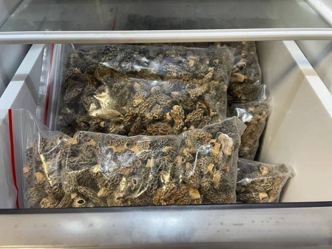 保质期过了还能吃?“安全食用期”听着美好,但谁来为它担责?