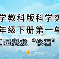 2下1.3 小学（教科版）科学实验二年级下册第一单元1.3测量恐龙“化石”