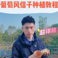 弹个植物-进口葡萄风信子种球种植教程