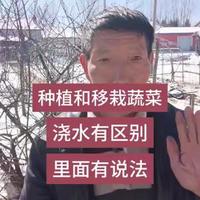 种植和移栽蔬菜，浇水有啥区别？先浇水还是后浇水？区别大了 #上热门🔥