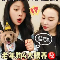 超全指南❗老年狗这样吃轻松活到💯岁 想让自家毛孩子也打破长寿记录,这4点老年犬喂养干货,尤其是最后一点,千万别做错!
#养狗攻略 #新手养狗 #老年犬养护 #狗狗长寿秘诀 #艾琳的养宠指南