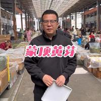 茶叶是外行看热闹,内行看门道,今天就说说“蒙顶黄芽”